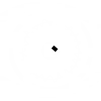 Corneal Graft